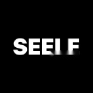Seele AI